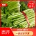 山东金乡西芹，货源充足，二十年种植经验，欢迎前来采购