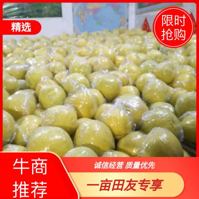 湖南江永县粗石江老树沙田柚。皮薄多汁，含糖量高，口感超甜
