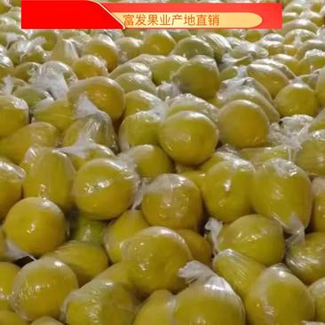 江永香柚，农户家看货，一手货源，价格便宜，以施农家肥为主