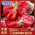 【荐】精品山东西红柿产地直销，品质保证，货源充足