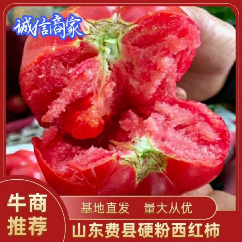 【荐】精品山东西红柿产地直销，品质保证，货源充足