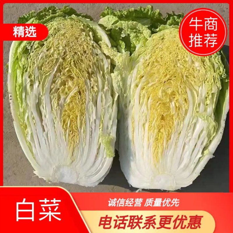 白菜，黄芯白菜，北京三号，大量上市了，净菜上车