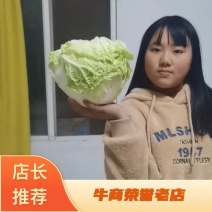 狮子头大白