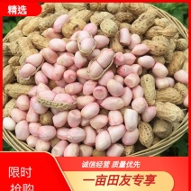 【精选】2025河南新鲜干湿春播花生带壳花生产地直发