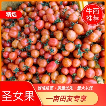 广西的圣女果，货源充足，质量保证，量大从优，来电优惠