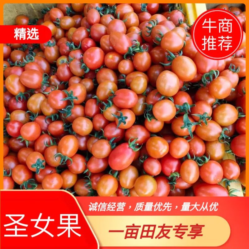 广西的圣女果，货源充足，质量保证，量大从优，来电优惠