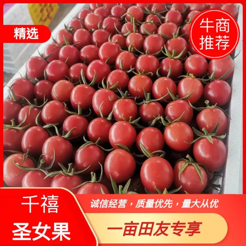广西千禧圣女果，货源充足，质量保证，量大从优，来电优惠