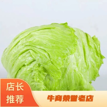 生菜球大量上市，色泽亮绿，个头大小均衡，价格美丽