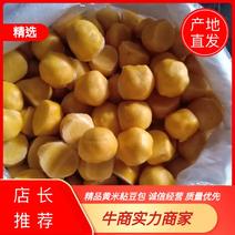 精品黄米粘豆包纯手工制作支持视频欢迎