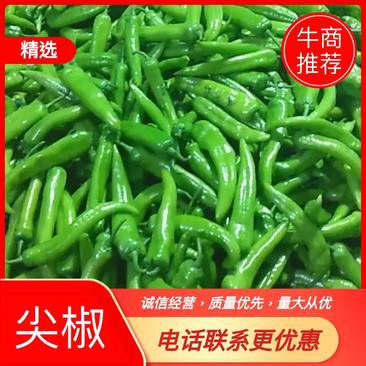 辽宁海城新秧精品黄皮尖椒大量上市，货源充足，来电优惠