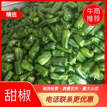 辽宁省海城市精品太空椒大量上市中常年供应，来电