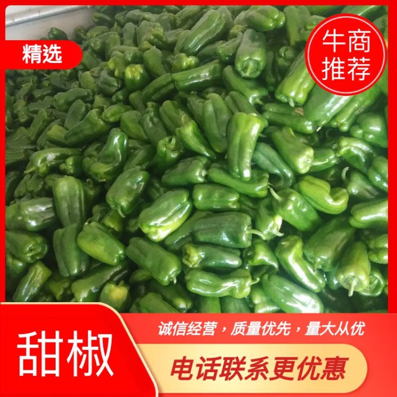 辽宁省海城市精品太空椒大量上市中常年供应，来电优惠