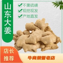 【推荐】姜母山东主产基地主要种植姜为主。代收入库价格实惠