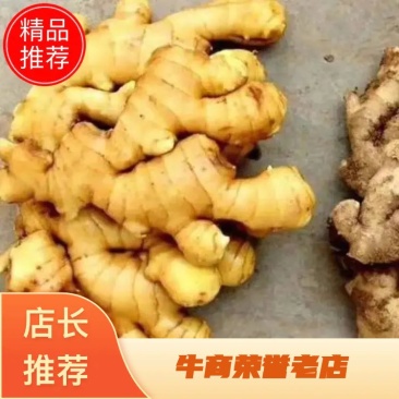 【小黄姜】山东小黄姜种植基地规格齐全个头大品质保证