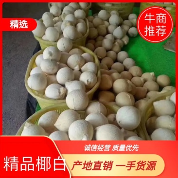海南文昌椰子批发白光椰产地直销白椰皇椰青天天发货