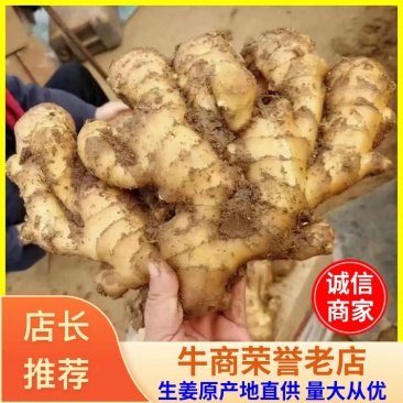 窖藏生姜产地直供（电商）超市加工常年供应