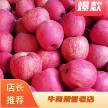 陕西咸阳乾县红富士，个大色红，片红，条红都有，望客户前来
