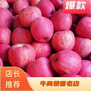 陕西咸阳乾县红富士，个大色红，片红，条红都有，望客户前来