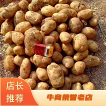 【精选好货】226土豆，白心，产地直发，质量保证，欢迎致电