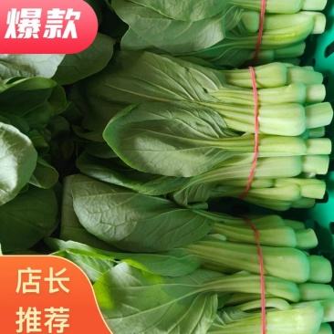 青菜苔
