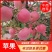 辽宁红富士苹果糖度可以膜纸袋表面光滑，无伤