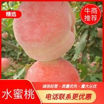 河北精品红梅突围水蜜桃大量上市，产地直发，直供市场，商超