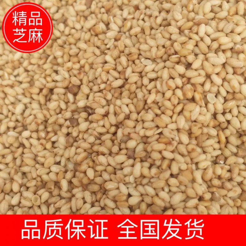 芝麻（熟）食品专用干净浓香粒粒饱满货源充足