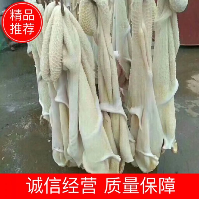 国产牛肚，办成品牛肚，水退熟牛肚随心定制