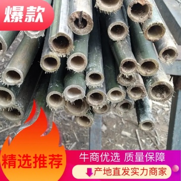 湖南批发竹竿自产自销2.7米长30根捆麻竹