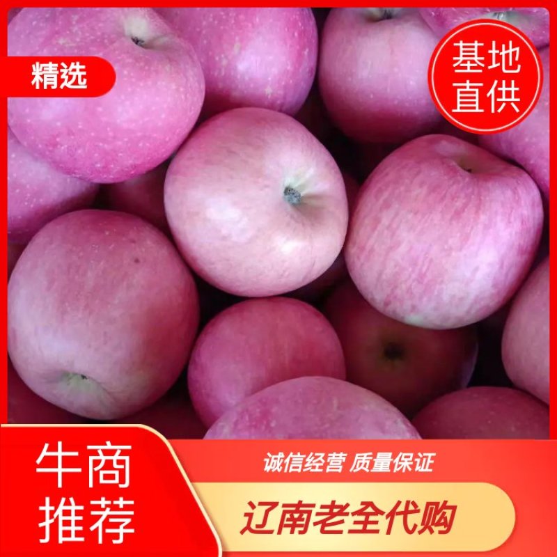 辽南红富士平果，大量供应，价格便宜，欢迎新老客户联系我。