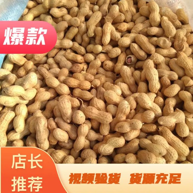 花育23小日本色选果种子果，产地发货，对接大型批发