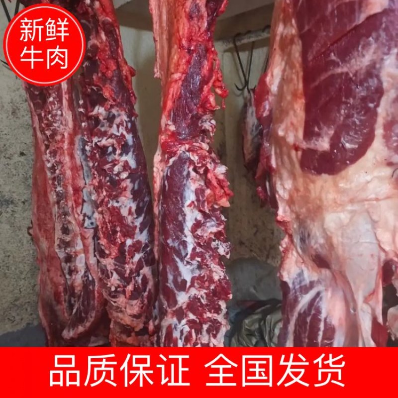 【牛肉】清真纯干鲜牛肉，不注水，现宰现发，货真价实