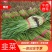 河北省唐山市乐亭县韭菜大量上市，欢迎前来购买，质量好