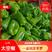 济南，商河太空椒，青椒，蔬菜大棚基地中心发往全国各地市场
