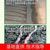 【推荐】蚯蚓粪有机肥营养土禽畜粪便肥料微生物菌肥底肥基肥