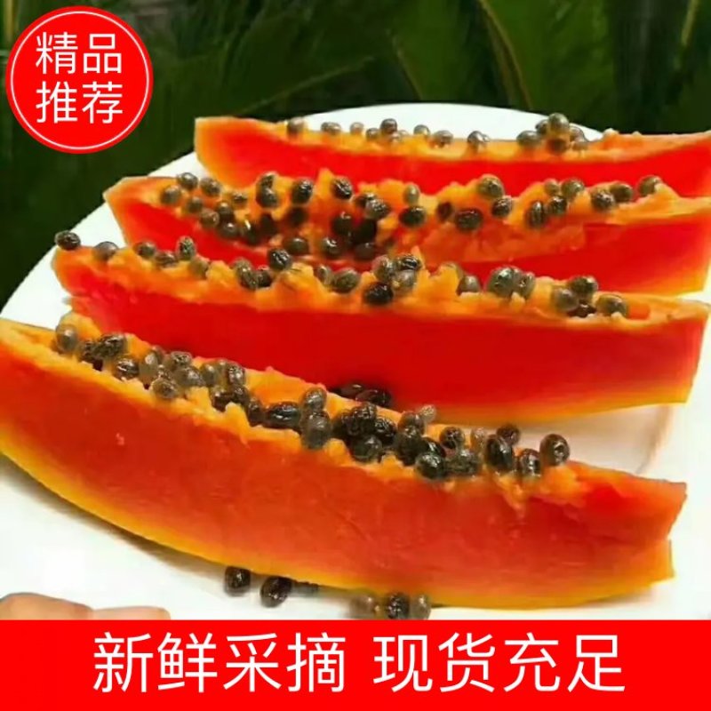 海南红心木瓜冰糖心产地直发现摘新鲜电商微商全国市场长期供应