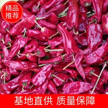 干辣椒红辣椒北京红产区大量好货上市代发代收代加工
