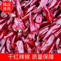 北京红千斤红辣椒🌶️内蒙主产区红干椒大量上市