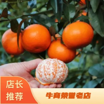 今年收尾默科特有需要的老板请抓紧欢迎采购