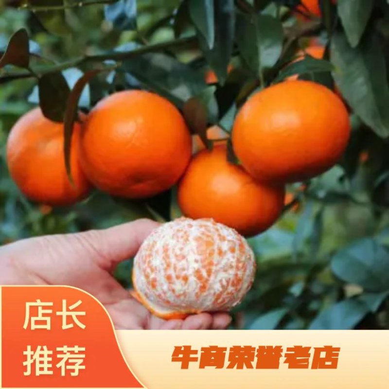 今年收尾默科特有需要的老板请抓紧欢迎采购