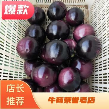 【商超品质】山东新棵精品茄子园茄大量现货产地直销品质保障