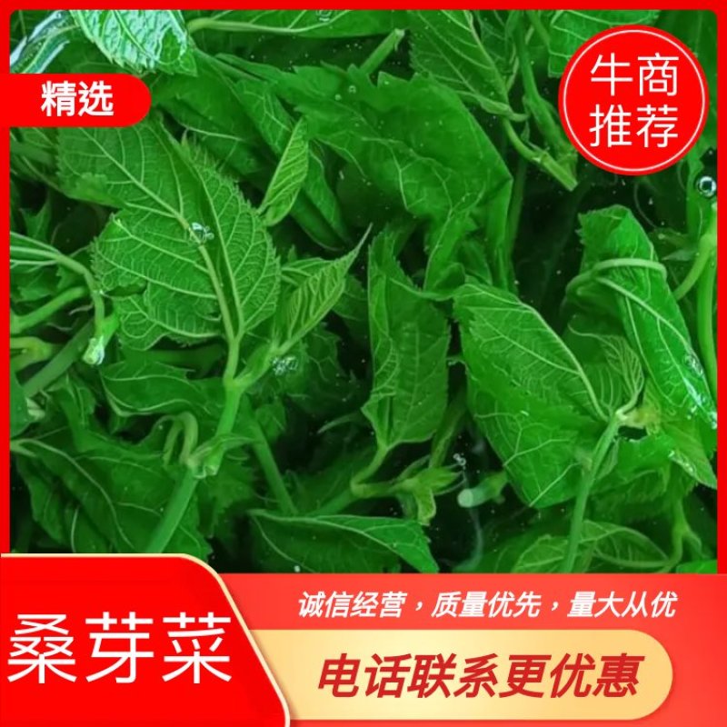 广东桑芽菜，250克一包，一件120包，货源充足，量大优