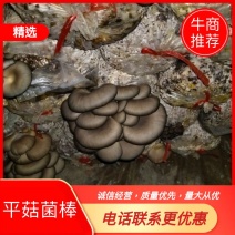 山东省枣庄市台儿庄区食用菌基地，货源充足，来电