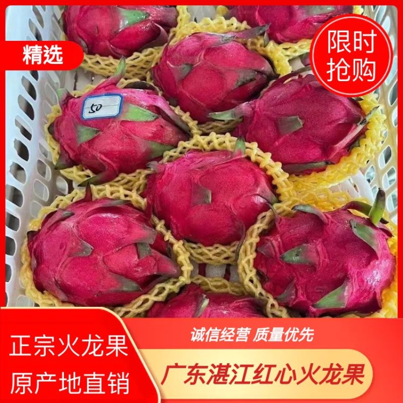 《火龙果》广东红心火龙果现摘现发【商超品质】欢迎选购