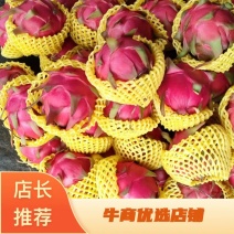 【优选】火龙果精品红心火龙果大量供应产地直销全国发货