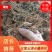 毛大丁无叶纯根茎水洗无硫柴火烘干零售批发云南供应