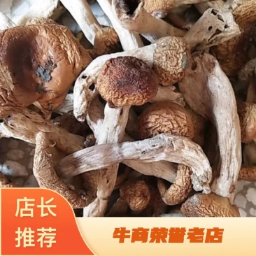 空心菌，空心的菌菇，油辣菇全是野生可煲汤的小宝宝干货