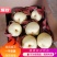 【新年钜惠】山西运城酥梨精品贡梨大量供应品质保证可视频看货