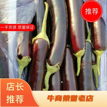 【精品】长茄子产地直发，一手货源，现摘现发大量上市，保质