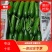 【精品】水果黄瓜，价格优惠，诚信经营，量大优惠，大量供应
